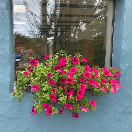 Valentia Island Escape *