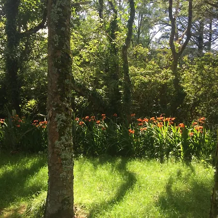 Valentia Island Escape Bed & Breakfast Chapeltown