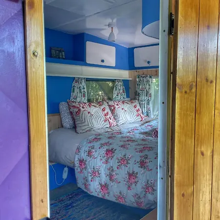 Valentia Island Escape Bed and breakfast *