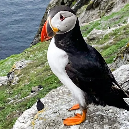 Valentia Island Escape Chapeltown