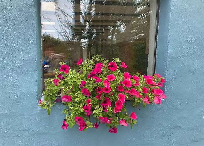 Valentia Island Escape *