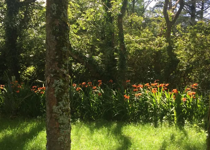 Valentia Island Escape B&B Chapeltown