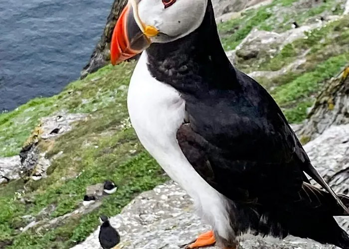 Valentia Island Escape Chapeltown